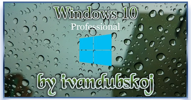 Windows 10 Pro x64 22Н2 Build 19045.6029 by ivandubskoj